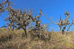 Aufstieg zum Lochenstein