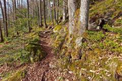 Weg Steinbis Schlossfelsen