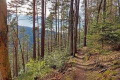 Weg zum Feierabendfelsen