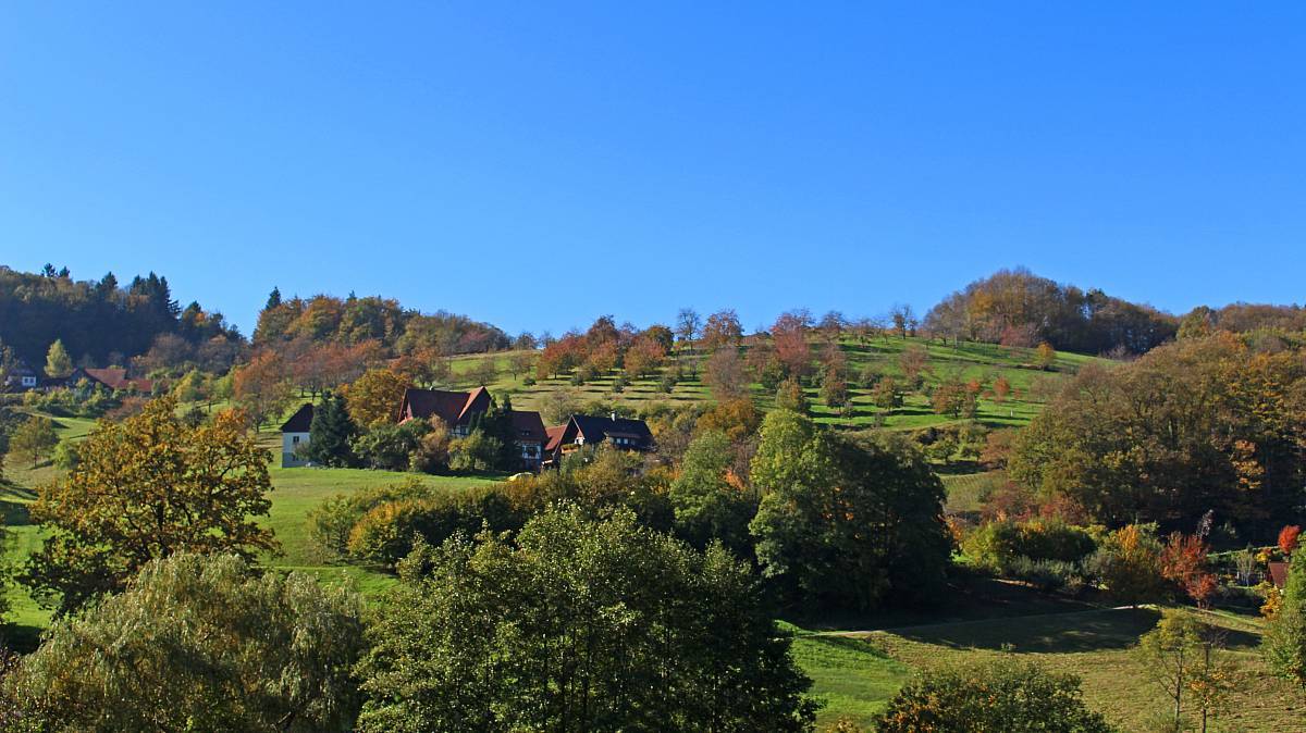Aussicht Nähe Straubenhof-Mühle