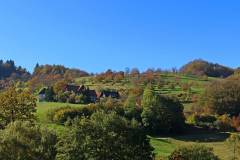 Aussicht Nähe Straubenhof-Mühle