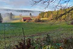 Langenschiltach - Beim Kieningerhof