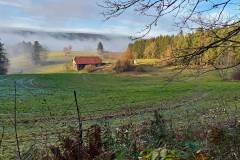 Langenschiltach - Beim Kieningerhof