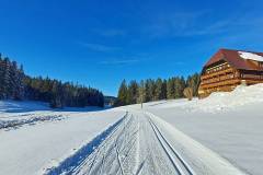 Langlaufen rund um die Escheck