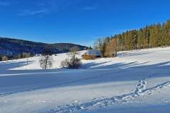 Langlaufen rund um die Escheck - Farnberg