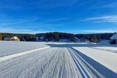 Langlaufen rund um die Escheck