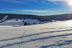 Langlaufen rund um die Escheck - Weißenbachtal