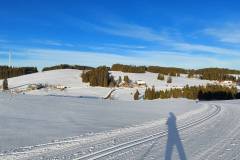 Langlaufen rund um die Escheck - Schwarzenbachtal