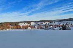 Langlaufen rund um die Escheck - Schönwald