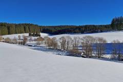 Rund um Schönwald - Bei Guten