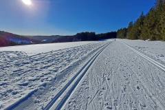 Rund um Schönwald  - Schaiben-Loipe - Feldbergblick