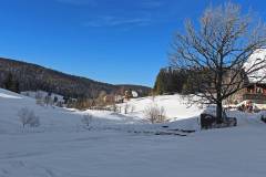 Langlaufen rund um die Escheck - Farnberg