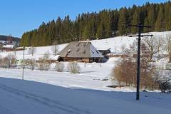 Rund um Schönwald - Obertal