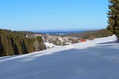 Escheck - Blick Schönwald