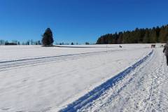 Winterwanderweg Tennenbronn