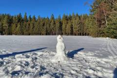 Winterwanderweg - Loipe Tennenbronn