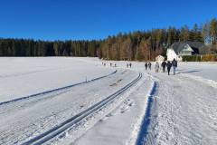 Winterwanderweg - Loipe Tennenbronn