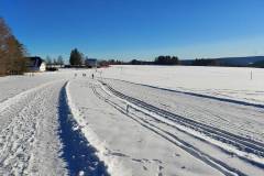 Winterwanderweg - Loipe Tennenbronn
