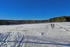 Auerhahn-Loipe Tennenbronn