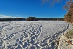 Winterwanderweg - Loipe Tennenbronn