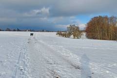 Schneewalzer Burgfelden