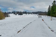 Schneewalzer Burgfelden