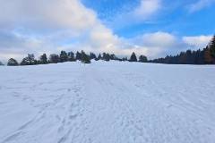 Schneewalzer Burgfelden - Heersberg