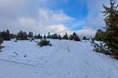 Schneewalzer Burgfelden - Heersberg