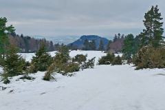 Schneewalzer Burgfelden - Schalksburg