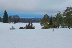 Schneewalzer Burgfelden