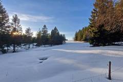 Rund um Schonach - Beim Gitschbühl