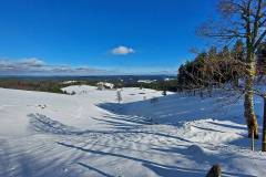 Gasthaus-Schwedenschanze - Aussicht