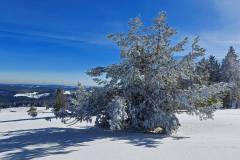 Gasthaus-Schwedenschanze - Aussicht