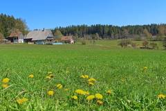 Beim Schnapsbrennerhof