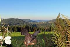 Aussicht Richtung Nordschwarzwald