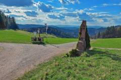 Vogt auf Mühlstein Umgebung