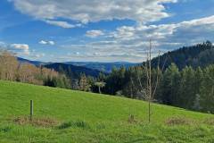 Vogt auf Mühlstein Aussicht