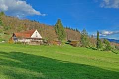 Vogt auf Mühlstein