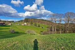 Vogt auf Mühlstein