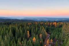 stoecklewaldturm-aussicht-nordschwarzwald