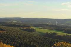 Aussicht vom Brendturm Richtung Schweizer Alpen