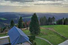 Aussicht vom Brendturm - Feldbergblick