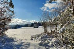 auerhahnrunde_3