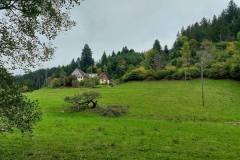 105_Etappe_1_Kaltbrunnertal-Buehlhof