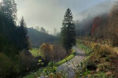 202_Etappe_2_Weg-nach-Wittichen-Herbststimmung