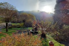 203_Etappe_2_Weg-nach-Wittichen-Vortal