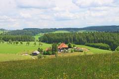 IMG_5364-ret