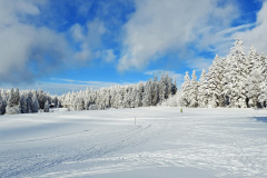 Beim Loipenzentrum