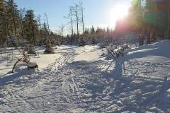 Ski Fernwanderweg bei Martinskapelle