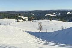 Aussicht vom Gasthof Schwedenschanze